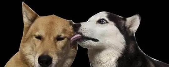 为什么有很多男生喜欢去“跪舔”女生呢？很简单，逃不出这三点！