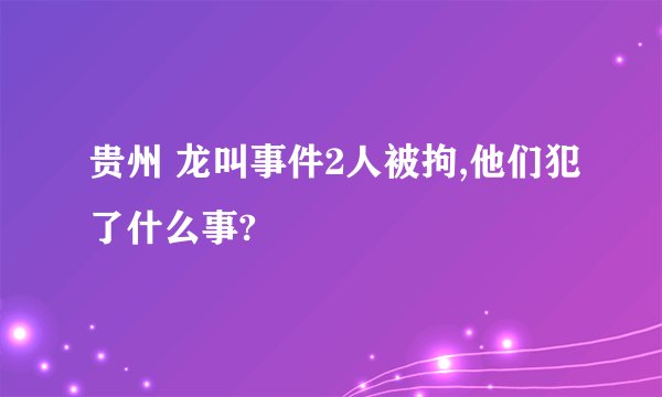 贵州 龙叫事件2人被拘,他们犯了什么事?