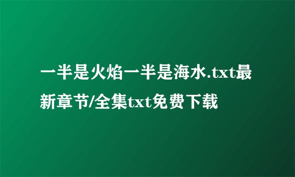 一半是火焰一半是海水.txt最新章节/全集txt免费下载