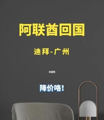 阿联酋迪拜回国