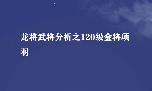 龙将武将分析之120级金将项羽