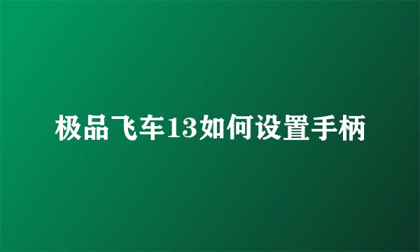 极品飞车13如何设置手柄