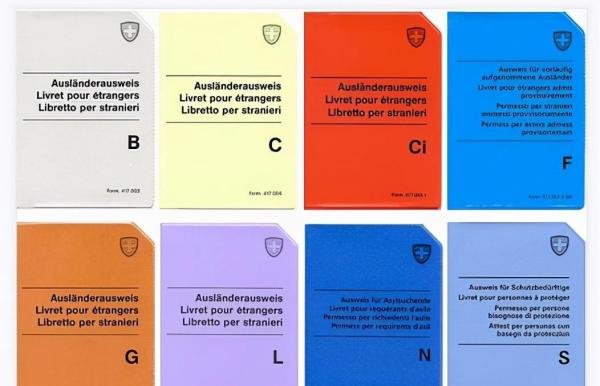 瑞士授予外国人的8种居留证件