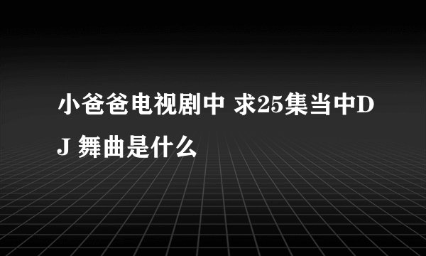 小爸爸电视剧中 求25集当中DJ 舞曲是什么