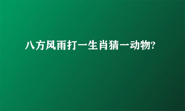 八方风雨打一生肖猜一动物?