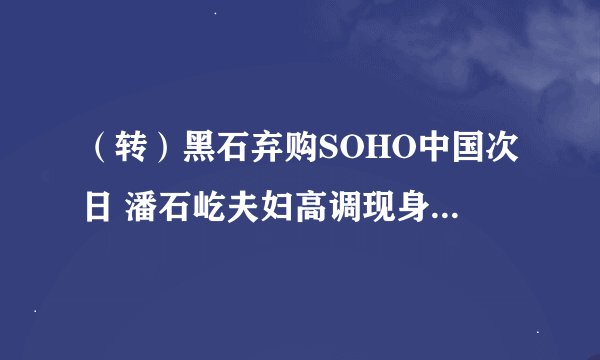 （转）黑石弃购SOHO中国次日 潘石屹夫妇高调现身美网观球