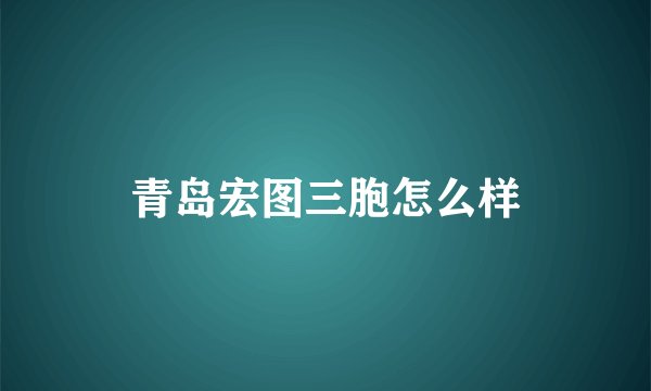 青岛宏图三胞怎么样
