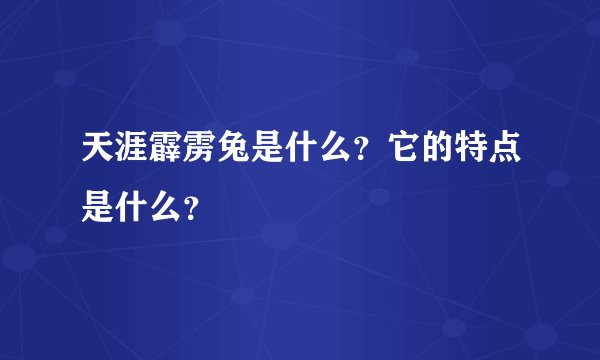 天涯霹雳兔是什么？它的特点是什么？