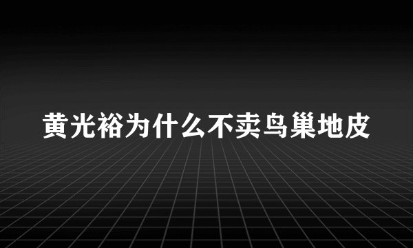 黄光裕为什么不卖鸟巢地皮