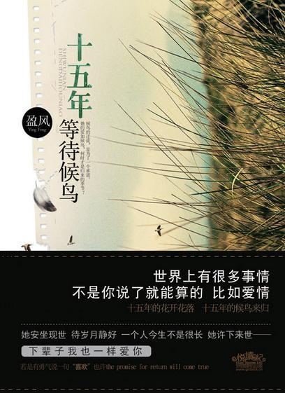 求十五年等待候鸟小说txt的完整版 谢谢