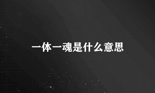 一体一魂是什么意思