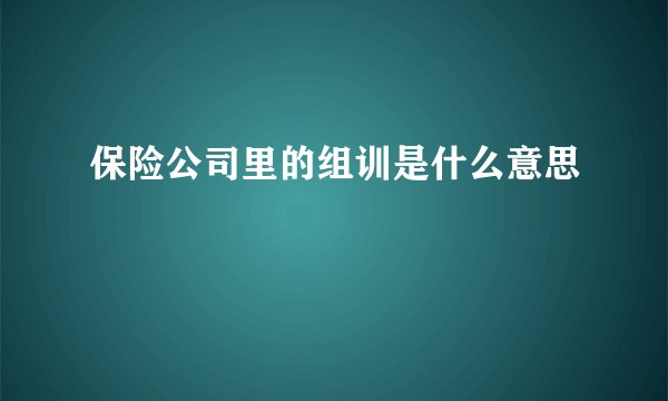 保险公司里的组训是什么意思
