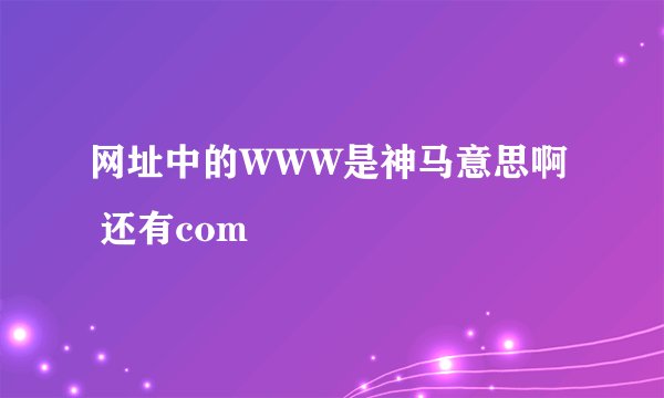 网址中的WWW是神马意思啊 还有com
