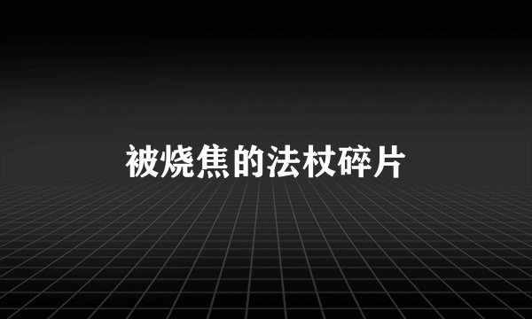 被烧焦的法杖碎片