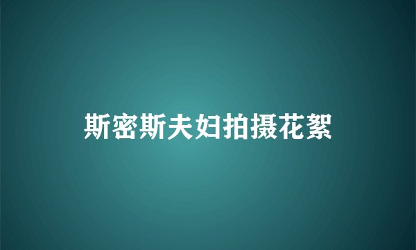 斯密斯夫妇拍摄花絮