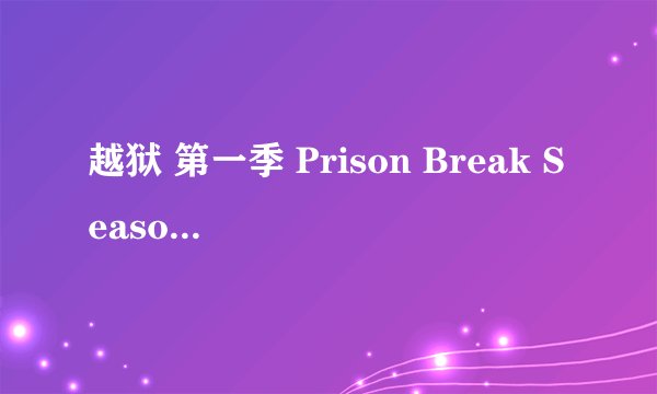 越狱 第一季 Prison Break Season 1 (2005)全集未删减高清版免费下载