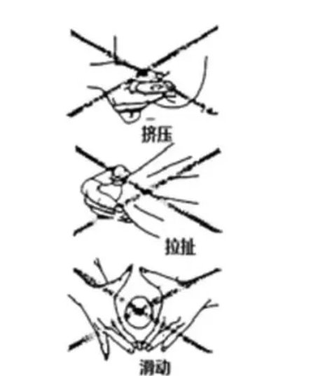 阿拉伯挤牛奶法正确做法图片