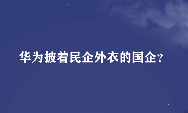华为披着民企外衣的国企？