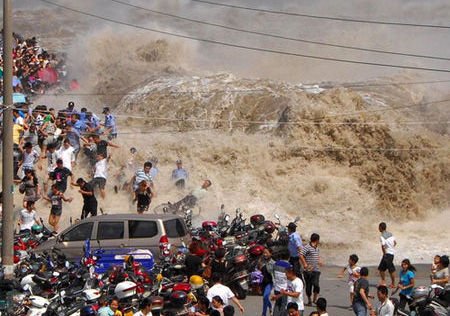 赵宗成、朱明元是谁？