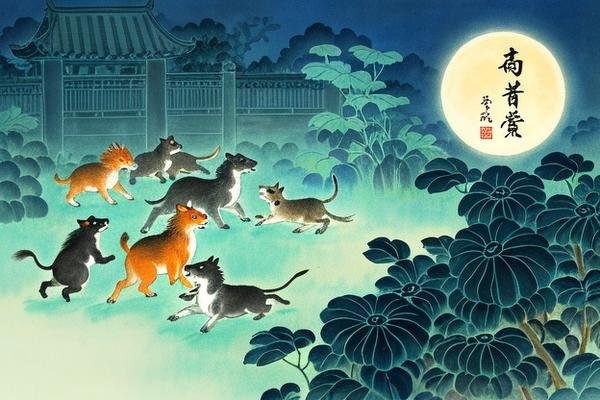 美不胜收的打一准确生肖