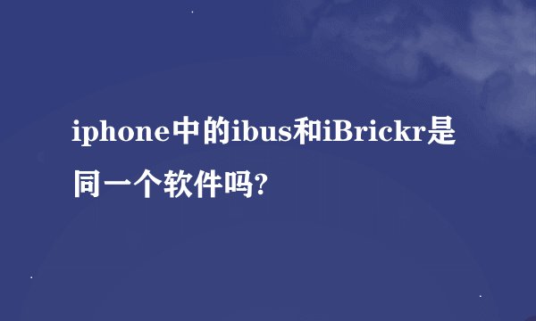 iphone中的ibus和iBrickr是同一个软件吗?