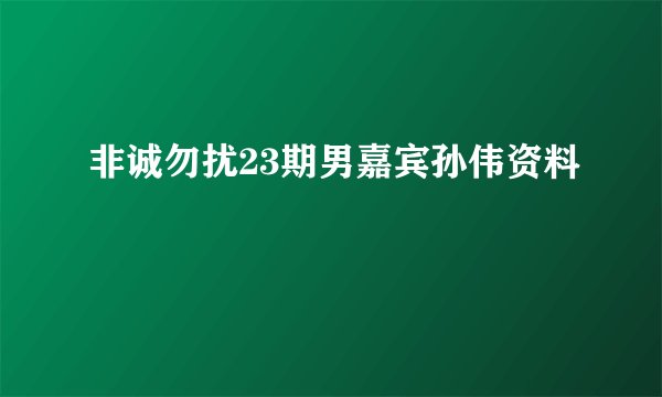 非诚勿扰23期男嘉宾孙伟资料