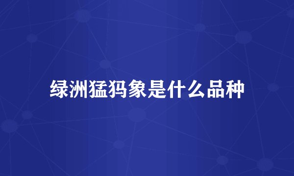 绿洲猛犸象是什么品种