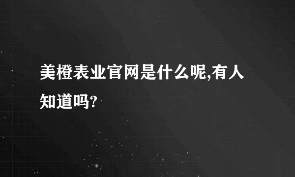 美橙表业官网是什么呢,有人知道吗?