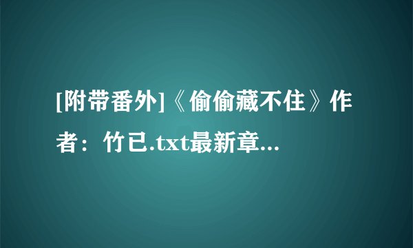 [附带番外]《偷偷藏不住》作者：竹已.txt最新章节/全集txt免费下载