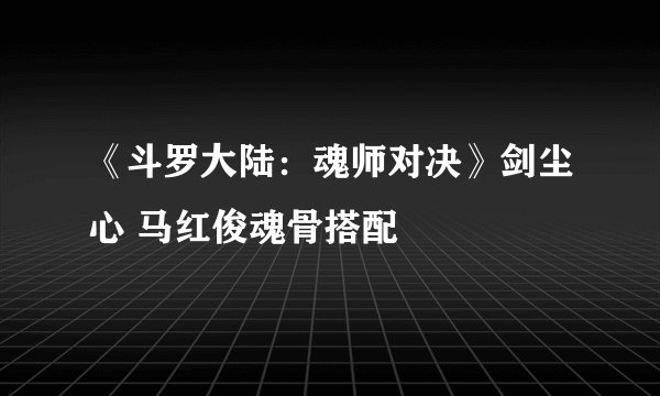 《斗罗大陆：魂师对决》剑尘心 马红俊魂骨搭配