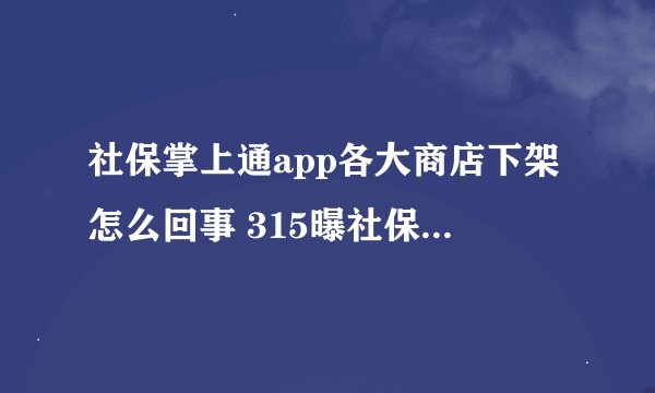 社保掌上通app各大商店下架怎么回事 315曝社保掌上通窃取用户全部信息