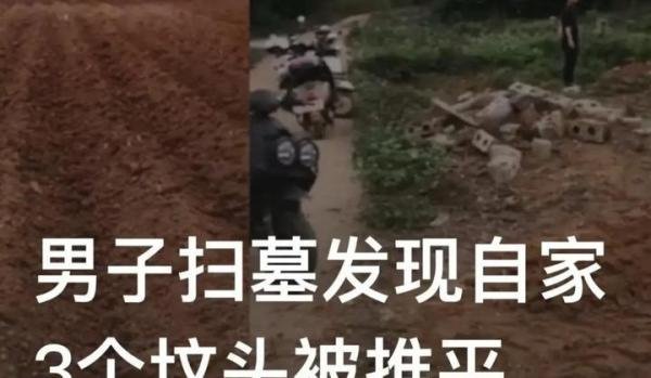广西男子回乡扫墓，自家坟头竟被推成甘蔗地，男子：没人通知，无地祭拜