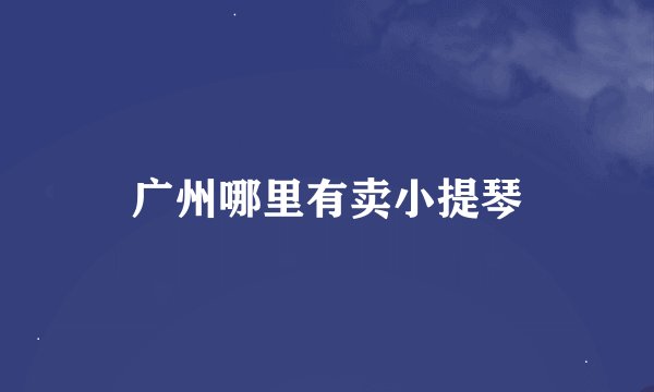 广州哪里有卖小提琴