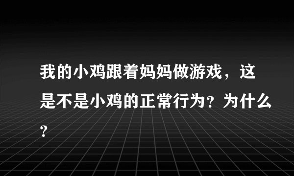 我的小鸡跟着妈妈做游戏，这是不是小鸡的正常行为？为什么？