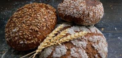 你吃的全麦面包，多数是假的，央视调查揭露真相