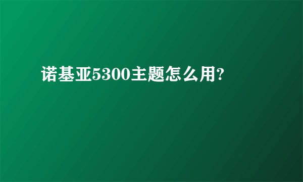 诺基亚5300主题怎么用?
