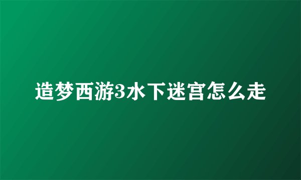 造梦西游3水下迷宫怎么走