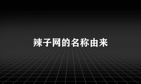 辣子网的名称由来