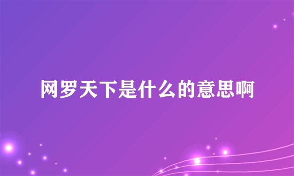 网罗天下是什么的意思啊