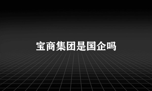 宝商集团是国企吗