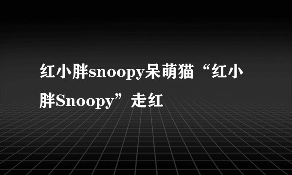 红小胖snoopy呆萌猫“红小胖Snoopy”走红