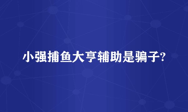 小强捕鱼大亨辅助是骗子?