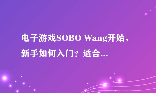电子游戏SOBO Wang开始，新手如何入门？适合哪些玩家？