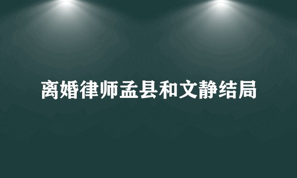 离婚律师孟县和文静结局
