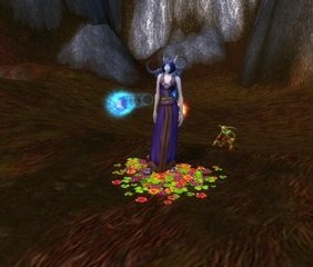 魔兽世界，塞纳留斯之路的效果怎么获得..