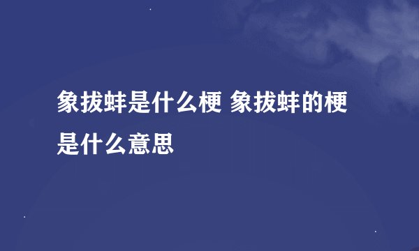 象拔蚌是什么梗 象拔蚌的梗是什么意思