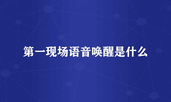 第一现场语音唤醒是什么