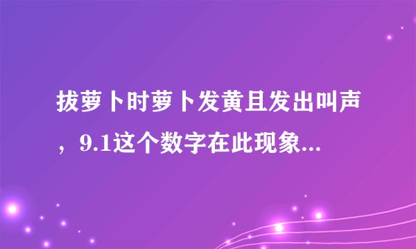 拔萝卜时萝卜发黄且发出叫声，9.1这个数字在此现象中有什么意义 ？