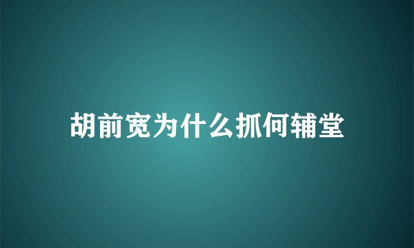胡前宽为什么抓何辅堂