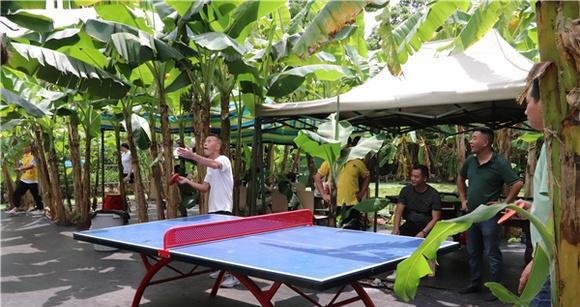 深圳采摘|深圳农家乐|深圳周末好去处